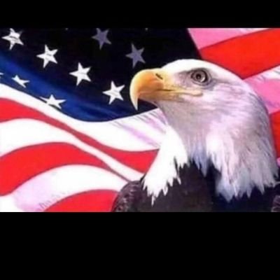 FelipeB33613544's profile picture. Deus 🙌 Família,  Pátria e Liberdade.   🇧🇷🇧🇷🇧🇷❤️
Fluminense  🇧🇬🇧🇬🇧🇬❤️