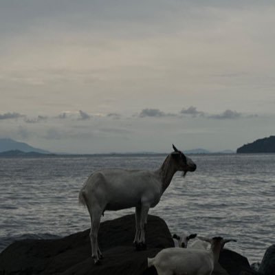 cagdasbkt's profile picture. ITU