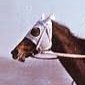 50ak0808's profile picture. 