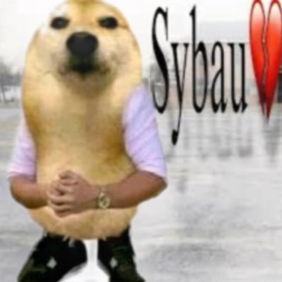 AyaanKh96365020's profile picture. im someone