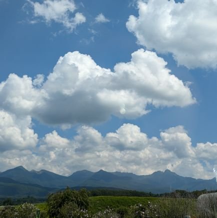 Eg90Lh4A9L4319's profile picture. ゲームと投資が大好きな一般人の個人総合アカ🫠

ゆかり王国民🐰🩷│765まこりんありさりっちゃん桃子P│#投資│#株🇯🇵🇱🇷│#積立│#高配当株│#優待│桐谷さん│HANSON

Switchで遊んでくれる人おらんかえ？🥹