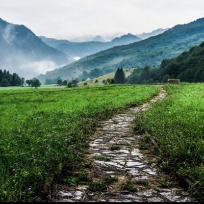 NewPath6584377's profile picture. New path