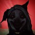 Lg3A (@lg3a_) Twitter profile photo Lg3A (@lg3a_) Twitter profile photo