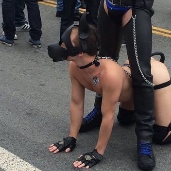 A submissive college frat pup into being trained, hazed, and humiliated 🦮 18+ Content #petpledge