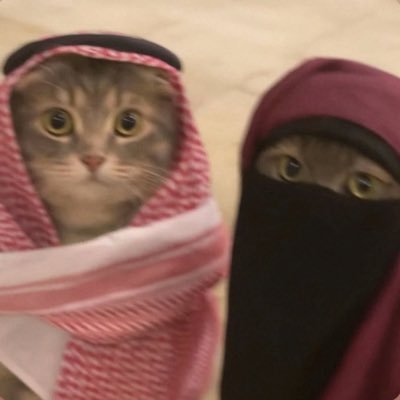 medovikcha's profile picture. 