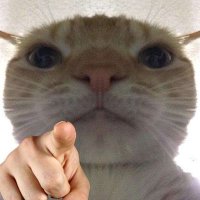 Creatora (@creatora_a_a) 's Twitter Profile