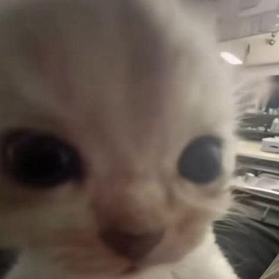 larios_mtzz's profile picture. 