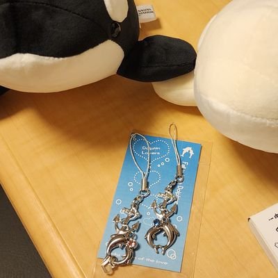 幸絵(ゆきえ)の全てにおいての裏垢
※イヤになったらブロックでお願い致します。※