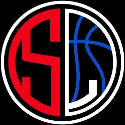 scouting_lab's profile picture. 🇫🇷French scouting service • Scouting reports and analysis of the top french prospects worldwide