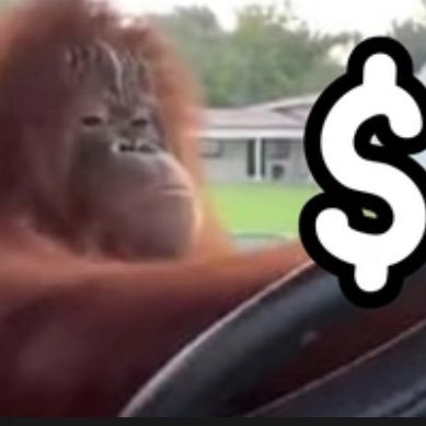 The very first $Ape on @pumpdotfun. 952g1urfJAim7pq88FSBEaa55rokS87uMory3eZfPCw2 $APE OG
