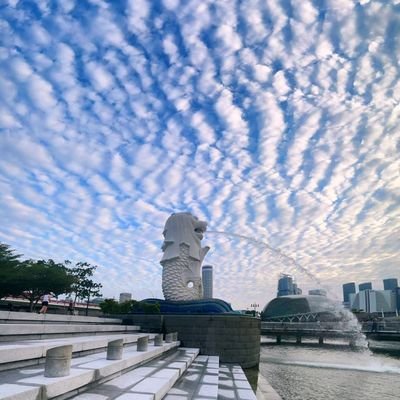 STE_sg50's profile picture. An amateur financial blogger !Not Financial Advice! Retweet does not mean endorsement n is for my record only.Please Do Your Own Due Diligence!