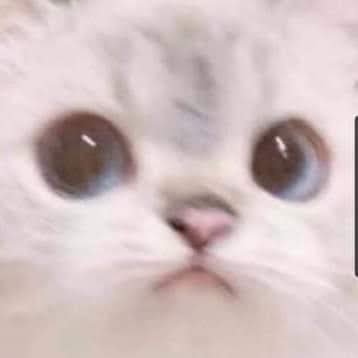 DeformeToon2's profile picture. Perdí mi cuenta @Deformetoon (2011/25) hace meses. A mis 250 bots seguidores perdón, acá de nuevo.