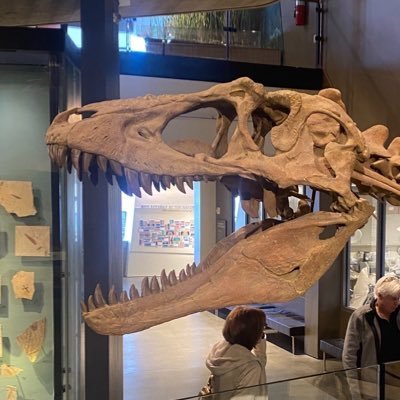 Jurassic_Dexin's profile picture. Not really that active here tbh… Jurassic_Dexin on insta #FDT