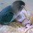 strongforth's profile image