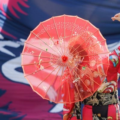 あっちこっちに出没します笑 下手っぴながらYOSAカメを.......。 鳳翔乱舞(超新人💦)、六葉、まるまる愛好会 玲瓏応援隊✨️ 無言でフォローポチっとしてごめんなさい💦