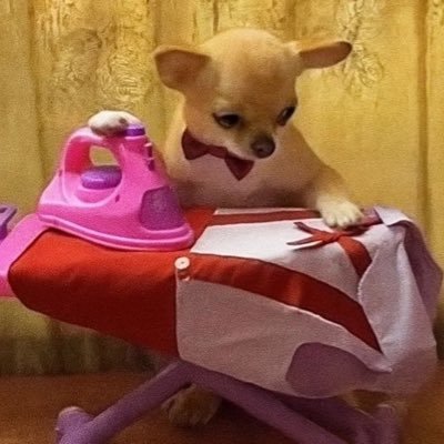 fresh_2956's profile picture. ._.