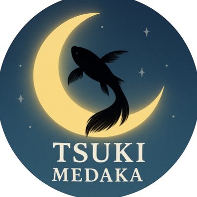 メダカ専用アカウント𓆝🫧 無言フォロー失礼します! 茨城県の端っこでベランダ飼育してます⋆✴︎˚。⋆ #メダカ女子 #メダ活