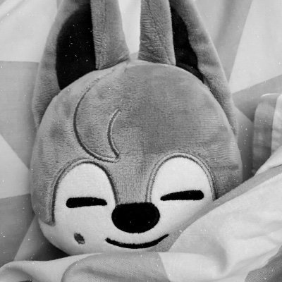 fav_ur39691's profile picture. 스테이 + 네버랜드