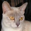 Robyn Macdonald - @macdonald_60684 - Twitter