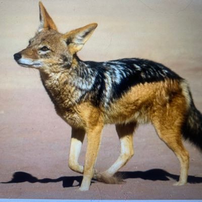 Carlvalenc22323's profile picture. 
