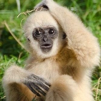 w_hereissanta_'s profile picture. 사실여부와 상관없이 무작정 좋은 리뷰만
남겨주세요