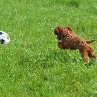 wExcel225's profile picture. システム屋です。Excelを使ったデジトレをやってます。（基本、資家ではありません笑）「デジタルトレード」はまさしく「頭と尻尾はくれてやれ！」を機械的に実践してるだけになりますから、この”投資格言”そのものなのです。
チャート（アナログ）で騙されやすい人はこの「デジタルな指標」も参考にして安心感が全く違ってきますよ。