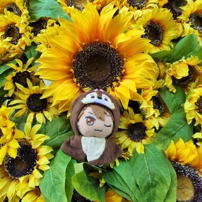 いつきさんのプロフィール画像