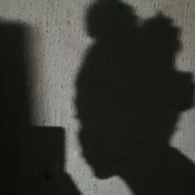 tochiscloset's profile picture. still exploring