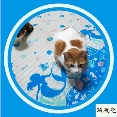 spMXUnRCwjrFxr8's profile picture. さとうさおりさんと読売ジャイアンツを応援する減税党員です