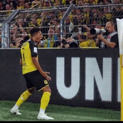 nervnichtdupic_'s profile picture. @bvb