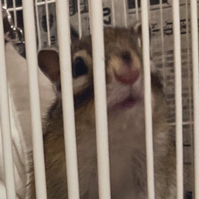 体力づくりさんのプロフィール画像