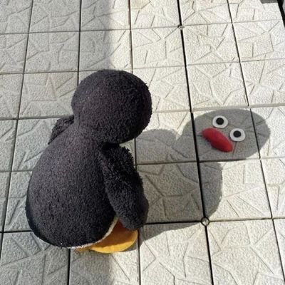 Sowoni0121's profile picture. 전닉 미야/아싸 히키코모리/언제나 열려있는 트친소 웰컴/선뎀=❤️/일단 미자임/코스도 하긴함/지뢰:섹트