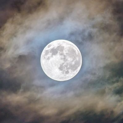 Lover of nature, photography, the Moon and stars 📸 🌙 ✨ 🔭
Haiku 🏞️