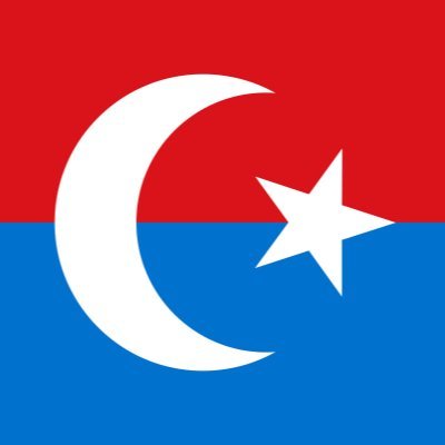 AnarchoIslamism's profile picture. 🇺🇿Pan-Türkist 
🏹Basmacı
💙☪️💙