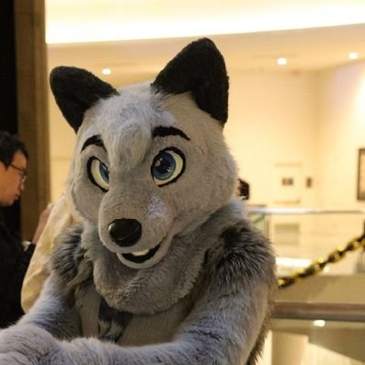 24 l He/Them Fursuiter & SGSuits Suiter l SFW l Dms Open l Taken by fiancé @PhenexFox l Enjoys Cons l Traveller/Gamer l 🐺🦊 l PC Nerd l Gay l