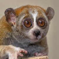 Marcky Marc (@fichtenbrenner) 's Twitter Profile Photo