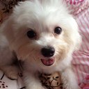 Deepa Naidu - @deepaisapanda - Twitter