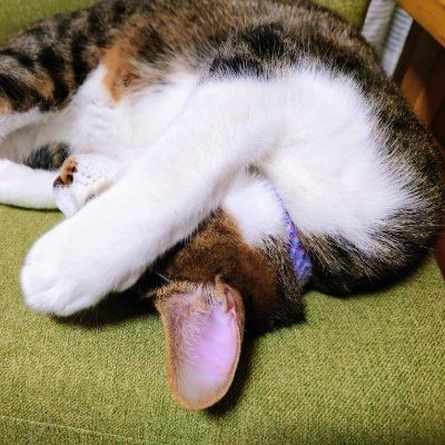 冷静と情熱のあいだで生きている 。
人の山登りを笑うな。
65/100 百名山の追っかけはしない。
🍶/🌷/♨/JB23/♪80,s・宇多田ヒカル/📖太宰治