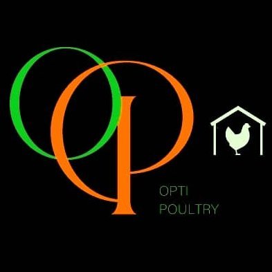 OptiPoultry's profile picture. AI-powered poultry health 🐓 | Early disease detection | IoT + ML monitoring | Smarter farms