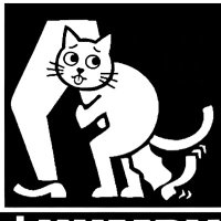 $Humpy (@humpythecatmeme) 's Twitter Profile