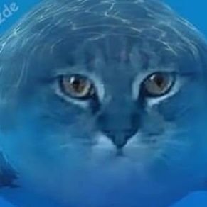 glosswe1's profile picture. 