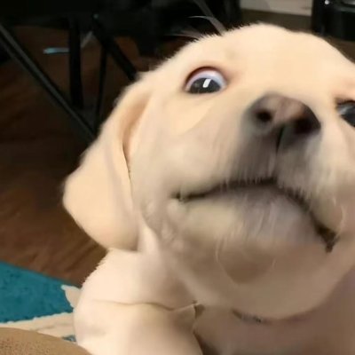 Viking shitposter happens to like doge, tesla & crypto. Subscribe and let’s have fun!
