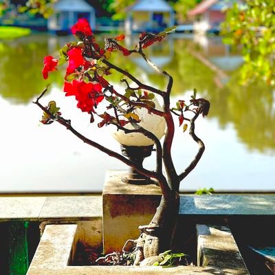 Tonikatakkkkkkk's profile picture. อย่าตามกูเลย กูเล่นคนเดียวได้ 🚭