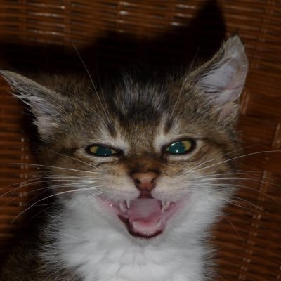 jannaa2309's profile picture. 22