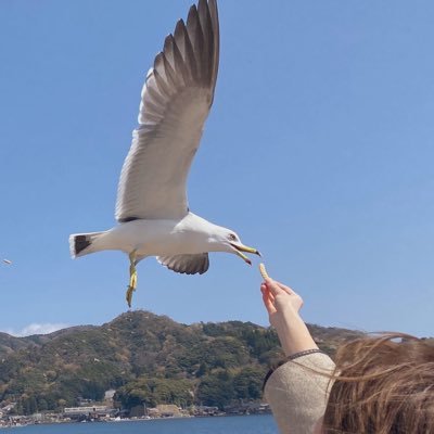 misopopo05's profile picture. 東京通信大学 7期生|20歳|岡山→東京|デイトラweb制作コース2025.08.30〜受講開始！|本気でwebスキルを身につけて、自分の力で稼ぎます🔥#デイトラ