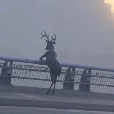 PhmPhcHngKhang1's profile picture. 