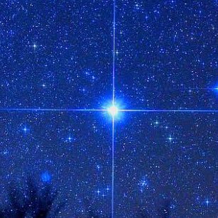 miunoremru_PHA's profile picture. 新参ポちゃん 花いろはとあずぽめの現場にもよく出現します #みうがみるよ