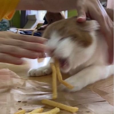 ardeliakarisa's profile picture. not suitable for children