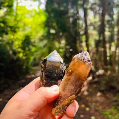 広島県で特大水晶ガマを開けるべく縦横無尽に駆け回る人同行採集🙆♂️ ※産地情報については仲良くなった方のみ