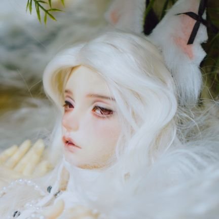 senobjd_hy's profile picture. 3n인덕/냥집사/미성년자&비계팔로 안받습니다/아이돌언급⭕️